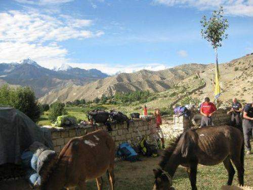 TREKKING IN MUSTANG 2010